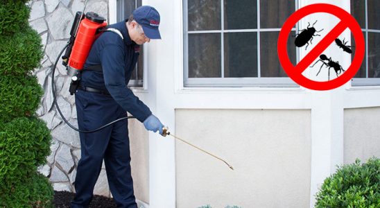 Yağlıdere Dezenfeksiyon böcek ilaçlama ve haşere kontrolü — ilaclama-tr.com
